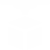 NanoDLP